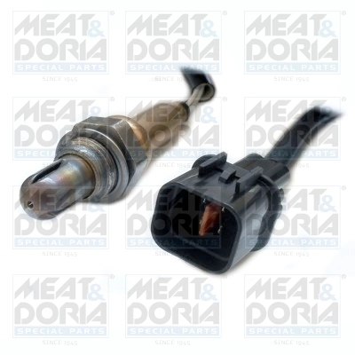 Oxygen Sensor